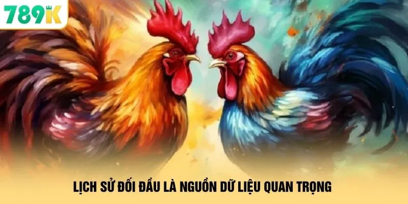 Lịch sử đối đầu là nguồn dữ liệu quan trọng